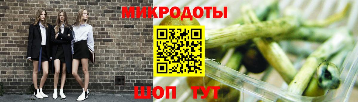 Галлюциногенные грибы Psilocybe  Вход с VPN  Псилоцибиновые грибы мицелий  Полысаево 